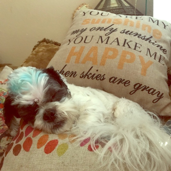 Meet your Posher, Nicole - Picture 1 of 1